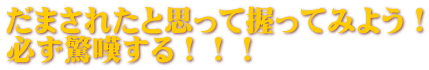 だまされたと思って握ってみよう! 必ず驚嘆する!!!